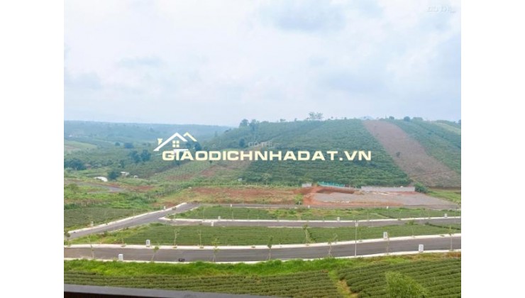 Bán rẻ lô đất thổ cư - cạnh Làng Pháp Bảo Lộc siêu hot